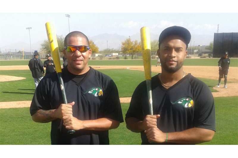 Crédito de la Foto: Pericos de Puebla