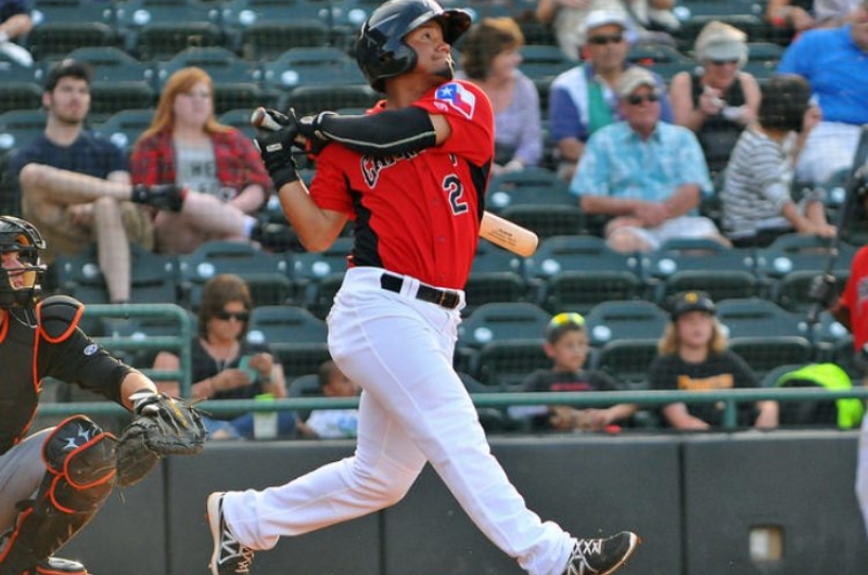 Foto Cortesía: Minor League Basebal