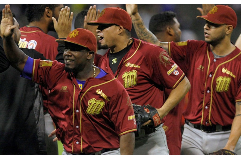 Crédito de la fotografía: José Luís Clemente